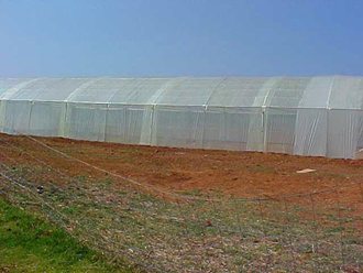 greenhouse_tunnel_sales (14)