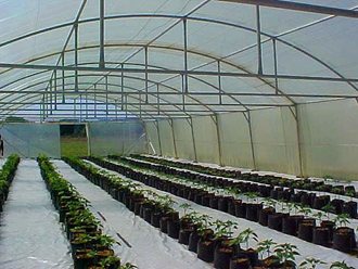 greenhouse_tunnel_sales (15)