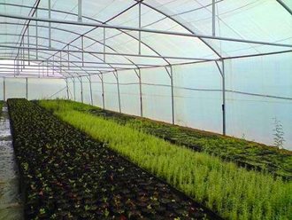 greenhouse_tunnel_sales (28)