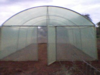 greenhouse_tunnel_sales (9)