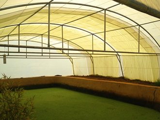 Greenhouse Tunnels South Africa (15)