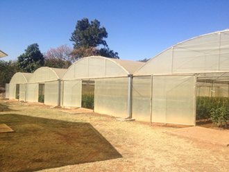 Greenhouse Tunnels South Africa (18)