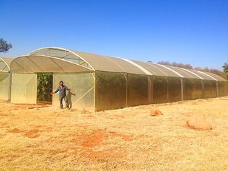 Greenhouse Tunnels South Africa (21)