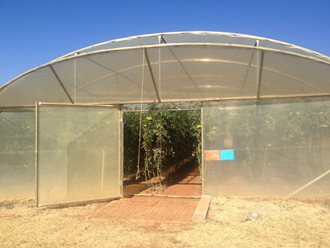 Greenhouse Tunnels South Africa (23)