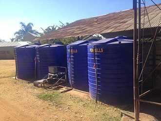 Greenhouse Tunnels South Africa (26)