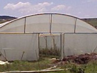 Greenhouse Tunnels South Africa (32)