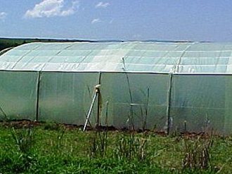 Greenhouse Tunnels South Africa (33)