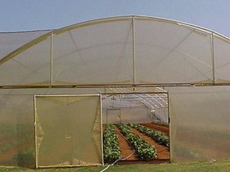 Greenhouse Tunnels South Africa (35)