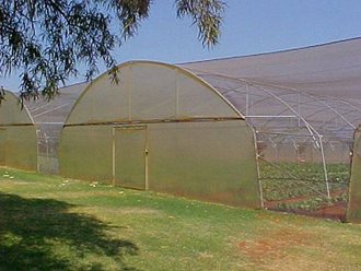 Greenhouse Tunnels South Africa (36)