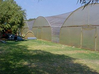 Greenhouse Tunnels South Africa (37)