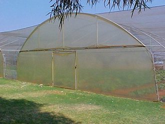 Greenhouse Tunnels South Africa (38)