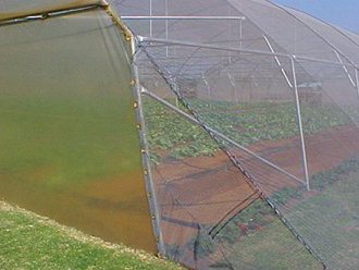 Greenhouse Tunnels South Africa (42)