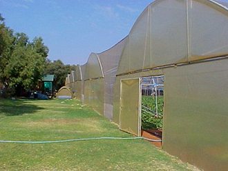 Greenhouse Tunnels South Africa (43)