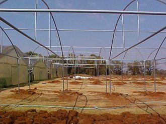 Greenhouse Tunnels South Africa (46)