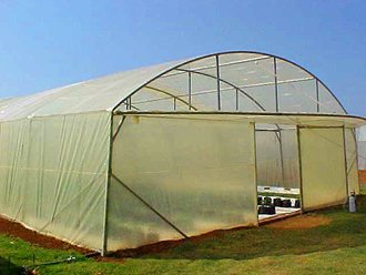 Greenhouse Tunnels South Africa (5)